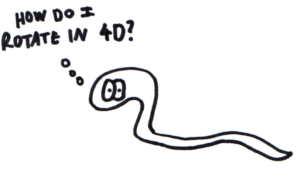 A snake thinking, "How do I rotate in 4D?"